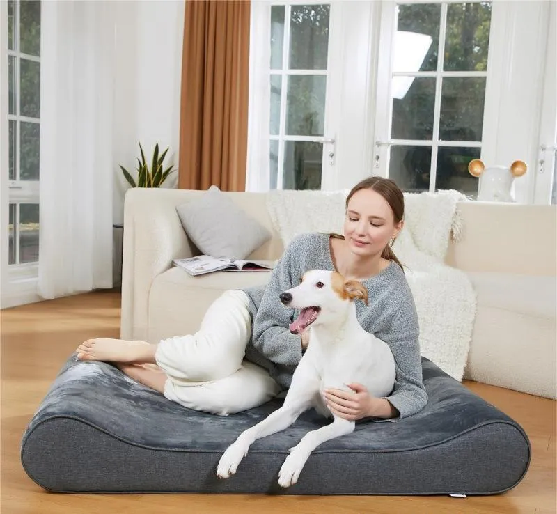 How to Choose the Perfec