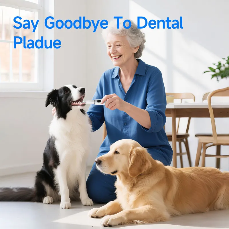 Never Brush Your Pet's T