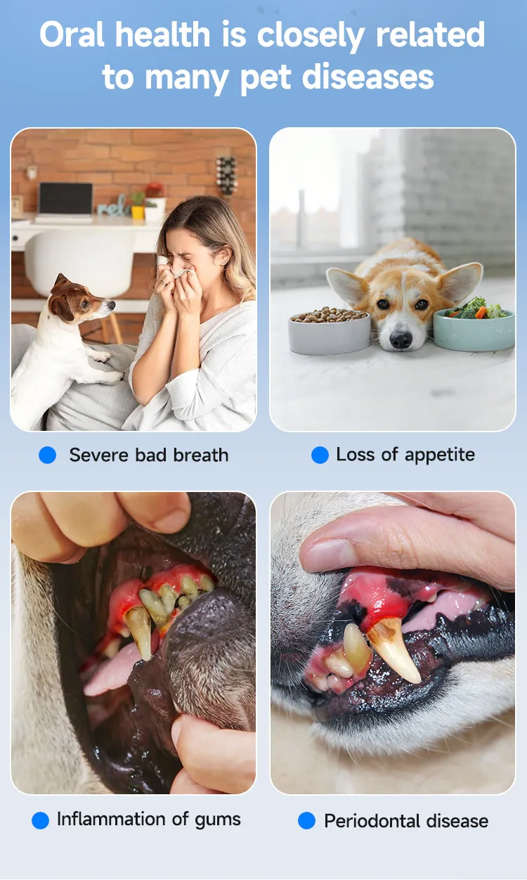 O1CN01srpaBa23r7Wjl89MO_!!2217971307308-0-cib (1).jpg