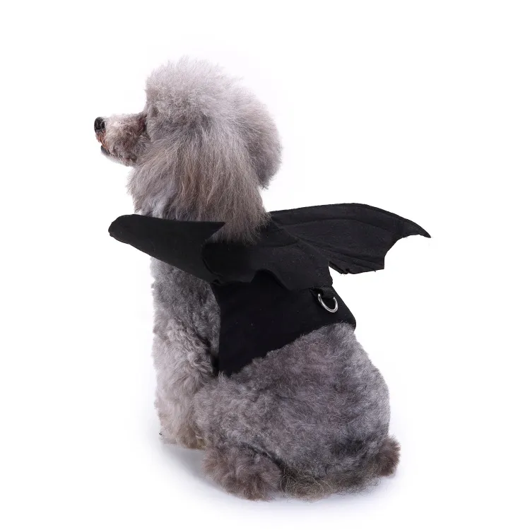 Halloween Bat Costume fo