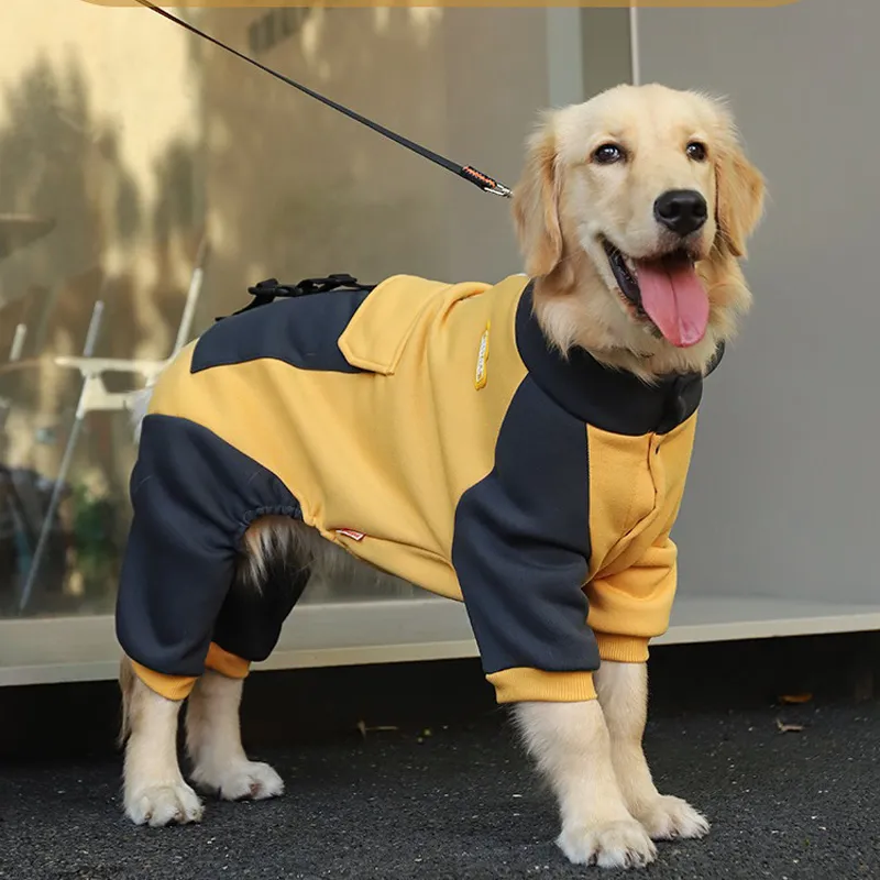 Easy Zip Dog Sweatshirt 
