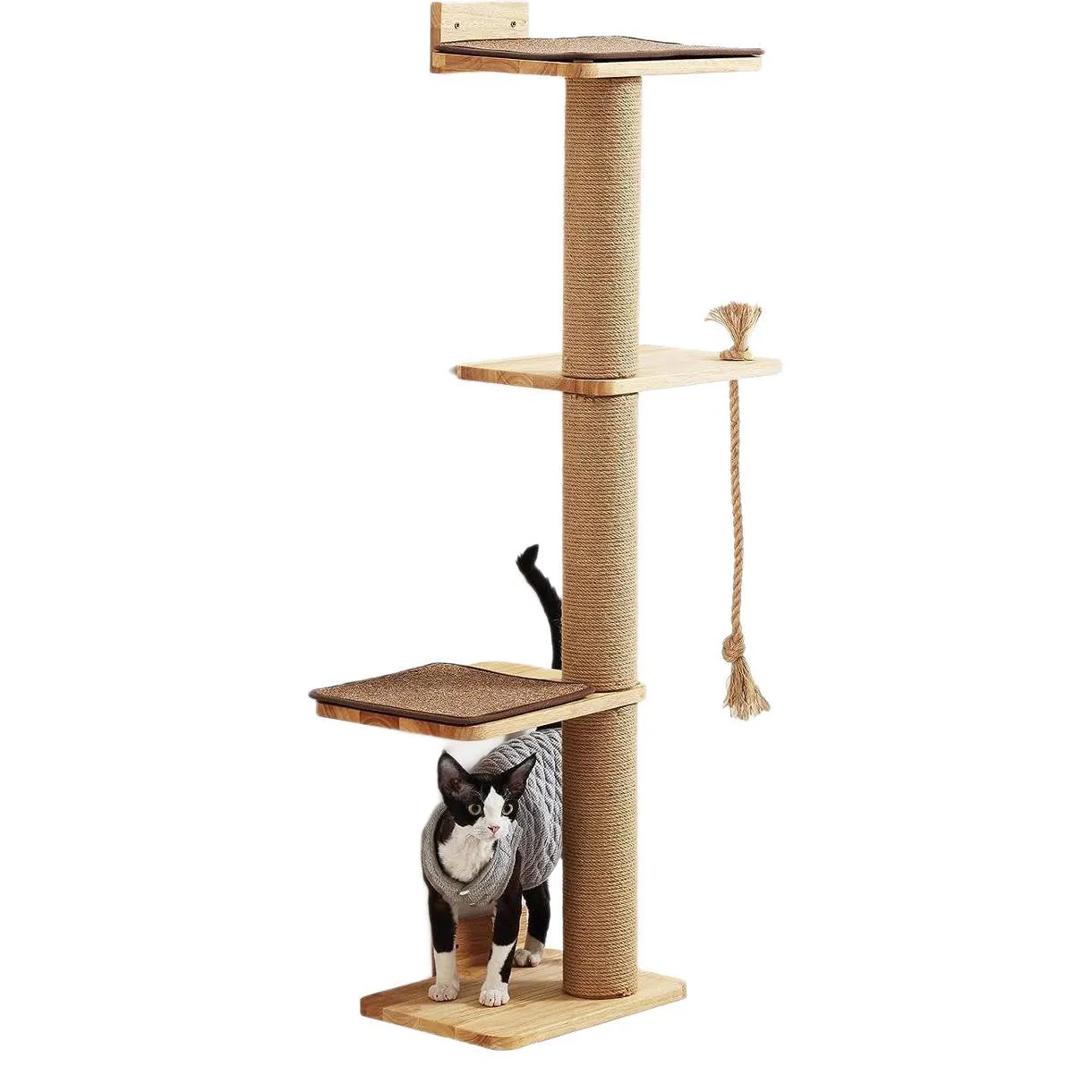 O1CN01MGayU82FwPOJ1fnuj_!!2215552338944-0-cib (1).jpg