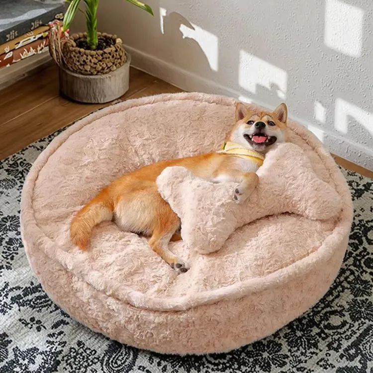 Plush, Thick Bed for Fre