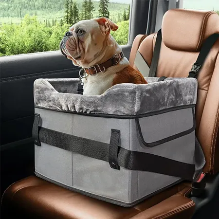 Dog Car Safety: 5 Essent