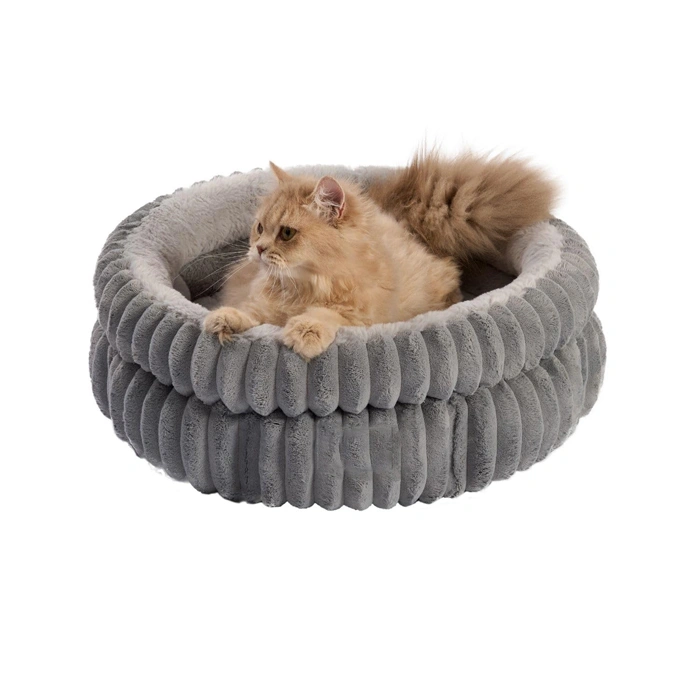 Elevated Rim Cat Bed for
